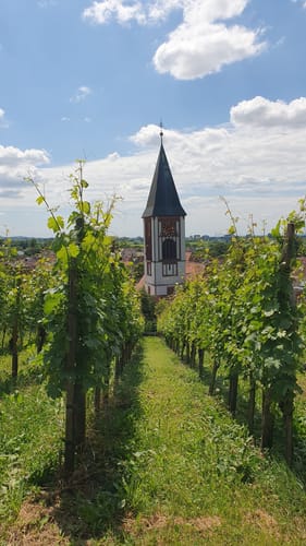 Über den Steinzeitpfad Ehrenkirchen