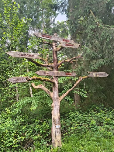 Herzog-Jäger-Pfad (Premiumwanderweg)