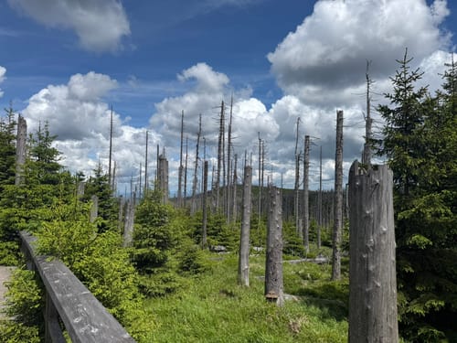 Brocken vom Bahnhof Schierke