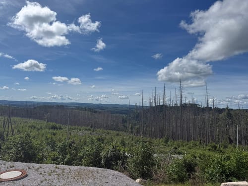 Brocken vom Bahnhof Schierke