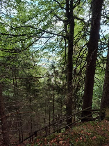 Petersberg und Großer Riesenkopf