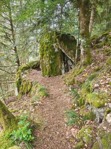 Mittelweg Etappe 9: Häusern - Waldshut