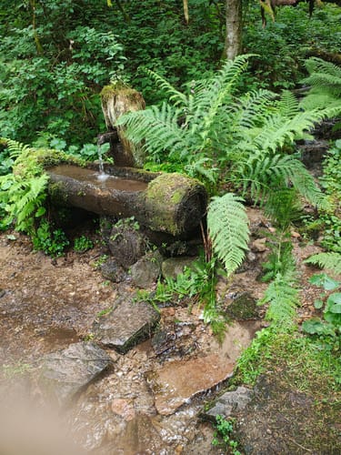 Mittelweg Etappe 9: Häusern - Waldshut