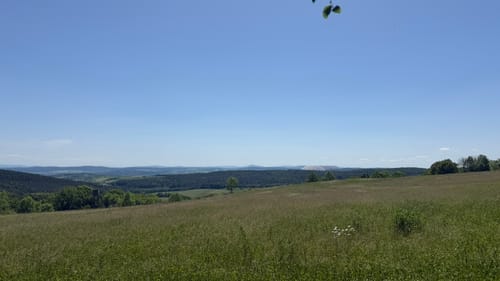 Tannenburg P18 (Premiumwanderweg)