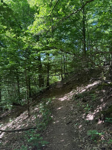 Tannenburg P18 (Premiumwanderweg)
