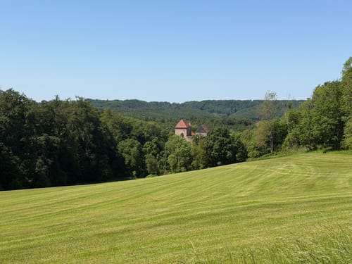 Tannenburg P18 (Premiumwanderweg)