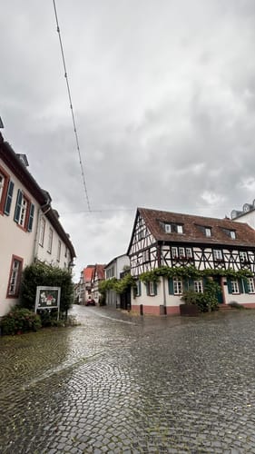 Rund um Hochheim