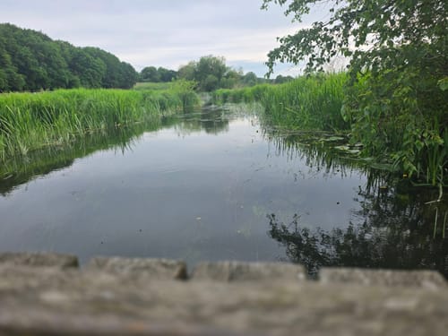 Rund um den Westensee