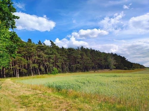 4-Seen-Runde ab Fresdorf