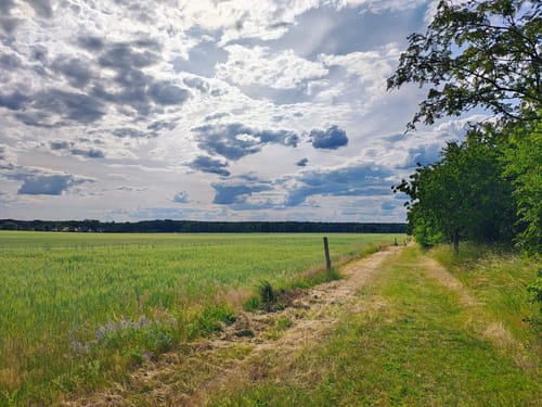 4-Seen-Runde ab Fresdorf
