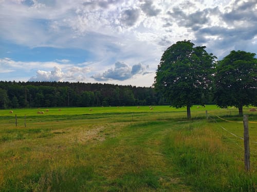 4-Seen-Runde ab Fresdorf