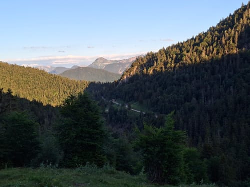 Hintere Scharnitz-Alm ab Bichleralm