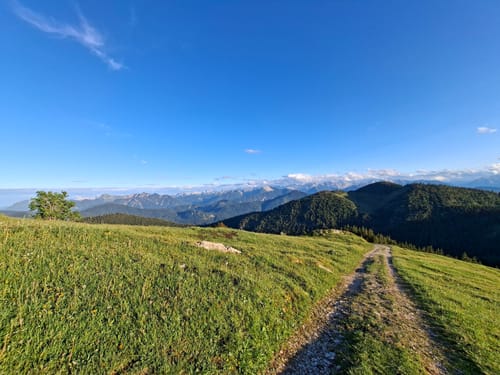 Hintere Scharnitz-Alm ab Bichleralm