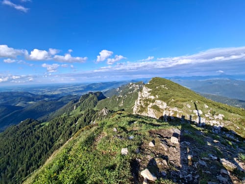 Hintere Scharnitz-Alm ab Bichleralm