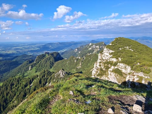 Hintere Scharnitz-Alm ab Bichleralm