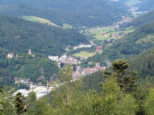 Auf Felsenwegen von Hornberg zu den Schlossfelsen
