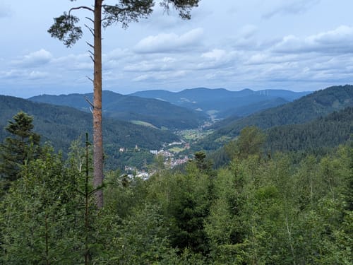 Auf Felsenwegen von Hornberg zu den Schlossfelsen