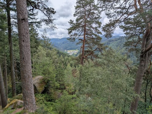 Auf Felsenwegen von Hornberg zu den Schlossfelsen