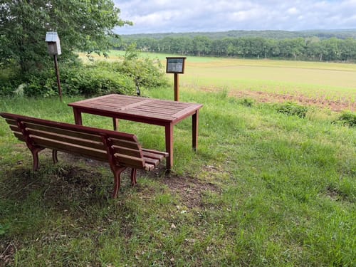 Schwedelbach Rundwanderung