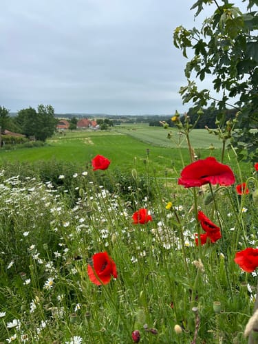 Longinusturm Rundweg A3