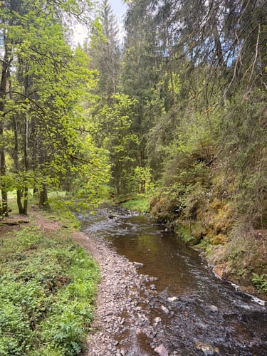 Zweischluchtenpfad