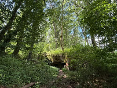 Frohn-Wald-Weg (Premiumwanderweg)