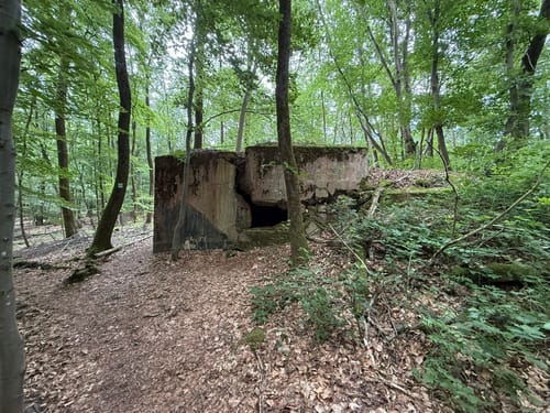 Frohn-Wald-Weg (Premiumwanderweg)