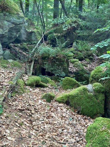 Irreler Wasserfälle - Teufelsschlucht