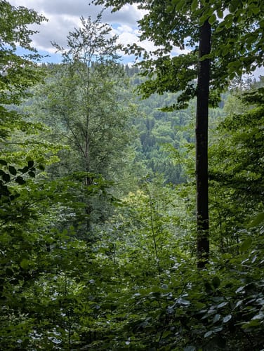 Gengenbach - Teufelskanzel - Abtsberg