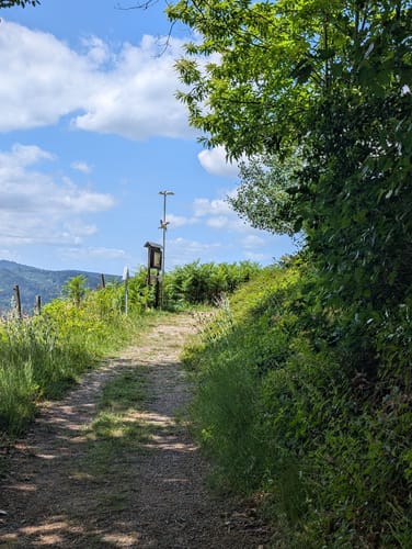 Gengenbach - Teufelskanzel - Abtsberg