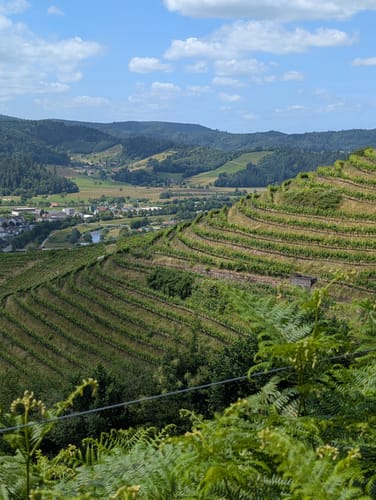Gengenbach - Teufelskanzel - Abtsberg