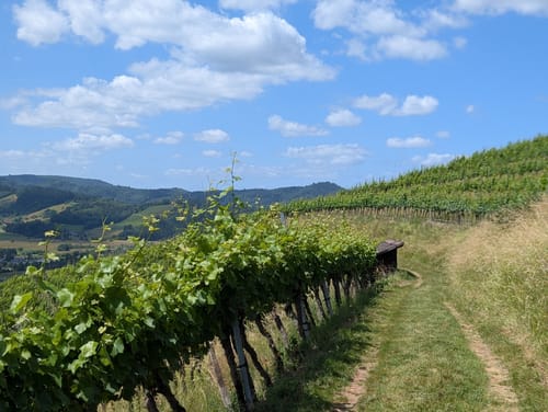 Gengenbach - Teufelskanzel - Abtsberg