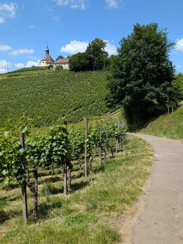 Gengenbach - Teufelskanzel - Abtsberg