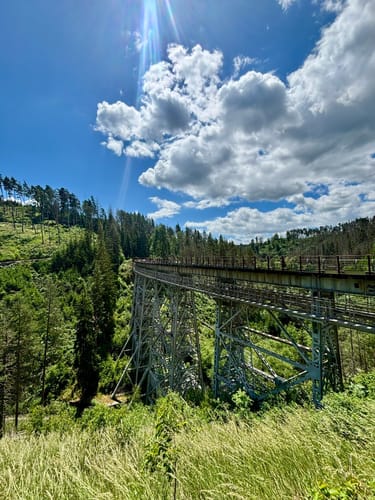 Von der Wysburg über die Ziemestalbrücke