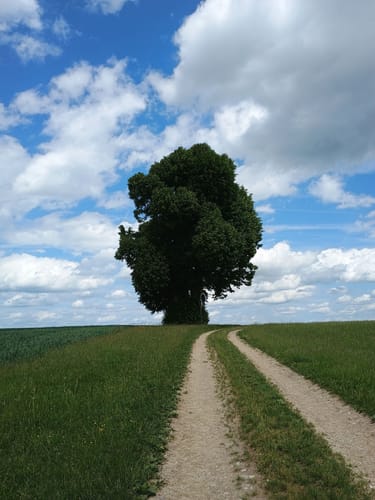 Glonn Wanderweg 8