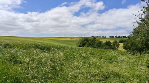 Von Korlingen zum Naumeter Kupp