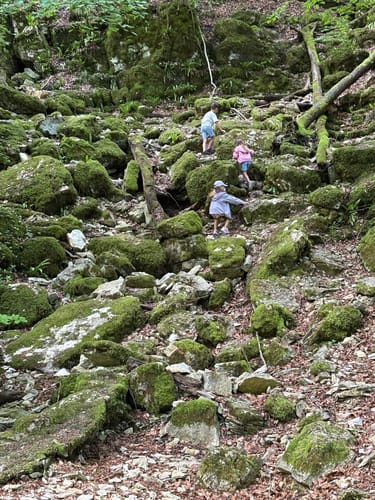 Zur Falkensteiner Höhle