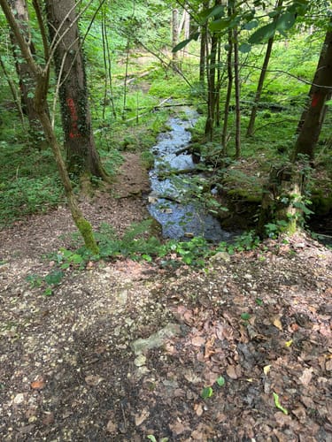 Zur Falkensteiner Höhle