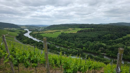 Runde zwischen Saarbögen