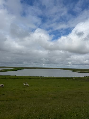 Vadehavsstien Etape 5: Vidå - Rudbøl