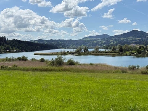 Rund um den Niedersonthofener See