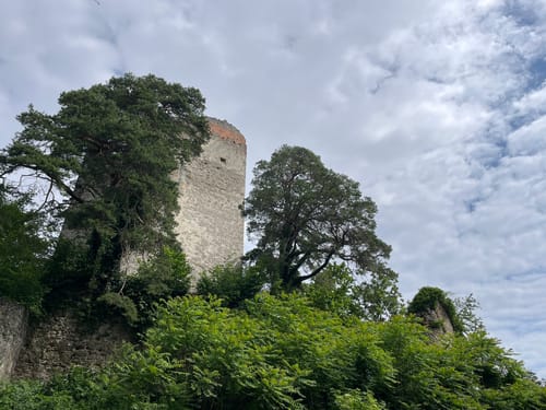 Marienschlucht Rundweg ab Bodman