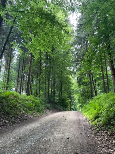 Marienschlucht Rundweg ab Bodman