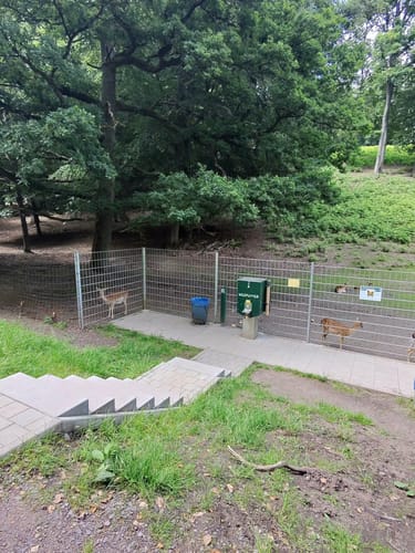 Karlsbrunn Rundweg