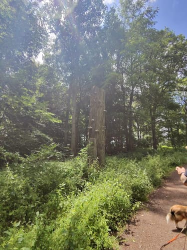Karlsbrunn Rundweg