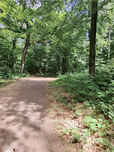 Karlsbrunn Rundweg