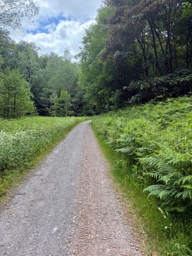 Karlsbrunn Rundweg