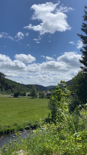 Urach - Burgruine Neu-Fürstenberg - Linacher Stausee
