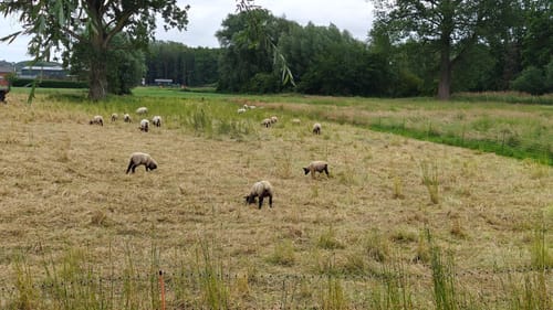 Waldschenke - Windmühlenweg
