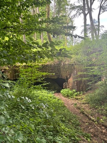 Frohn-Wald-Weg (Premiumwanderweg)